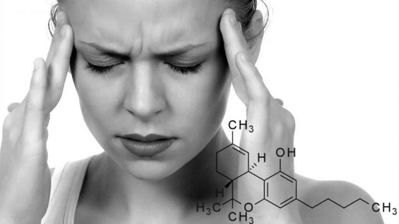 Cannabinoids in the Management and Treatment of Migraines