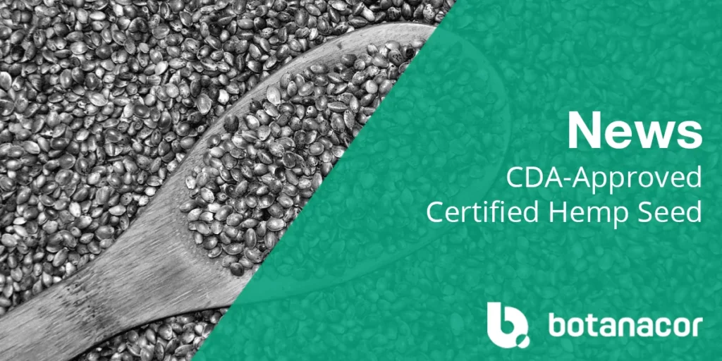 CDA-Approved Certified Hemp Seed