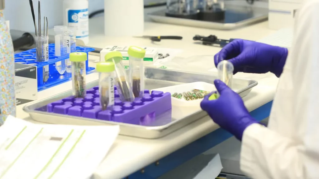SC Labs scientist in lab testing cannabis samples