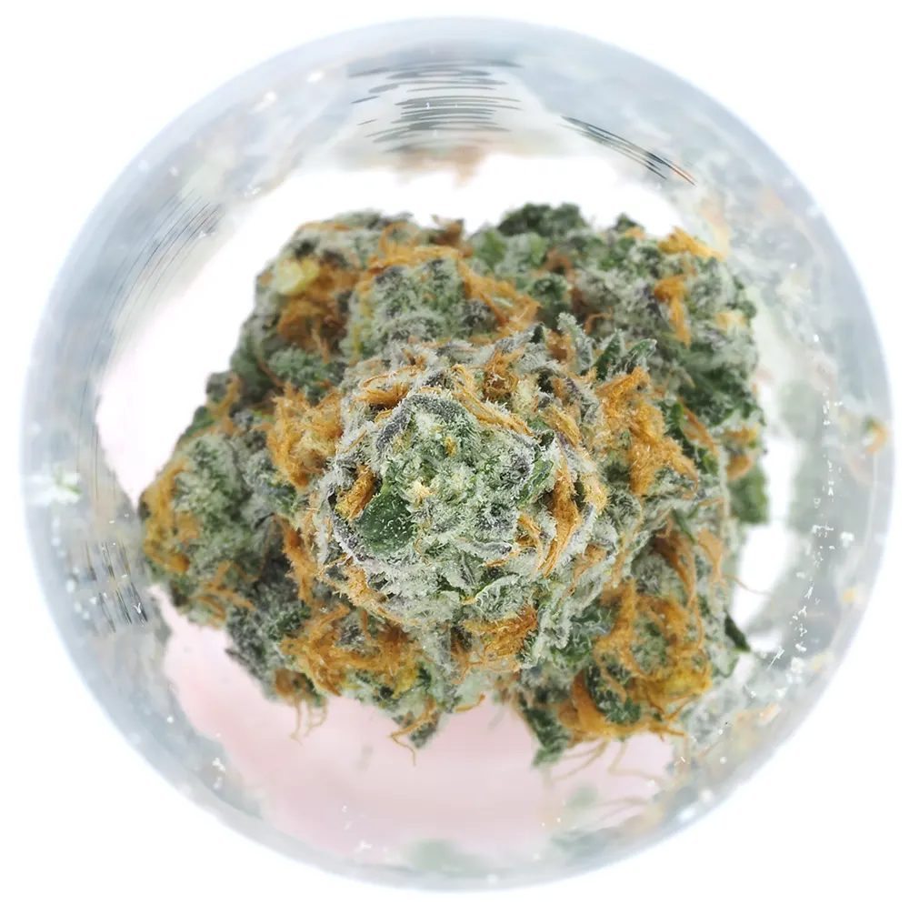 Cannabis flower closeup