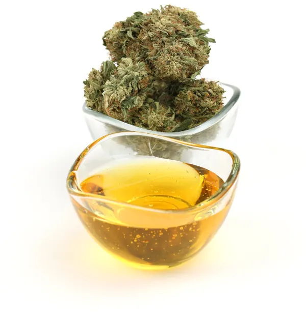 Cannabis testing flower and oil