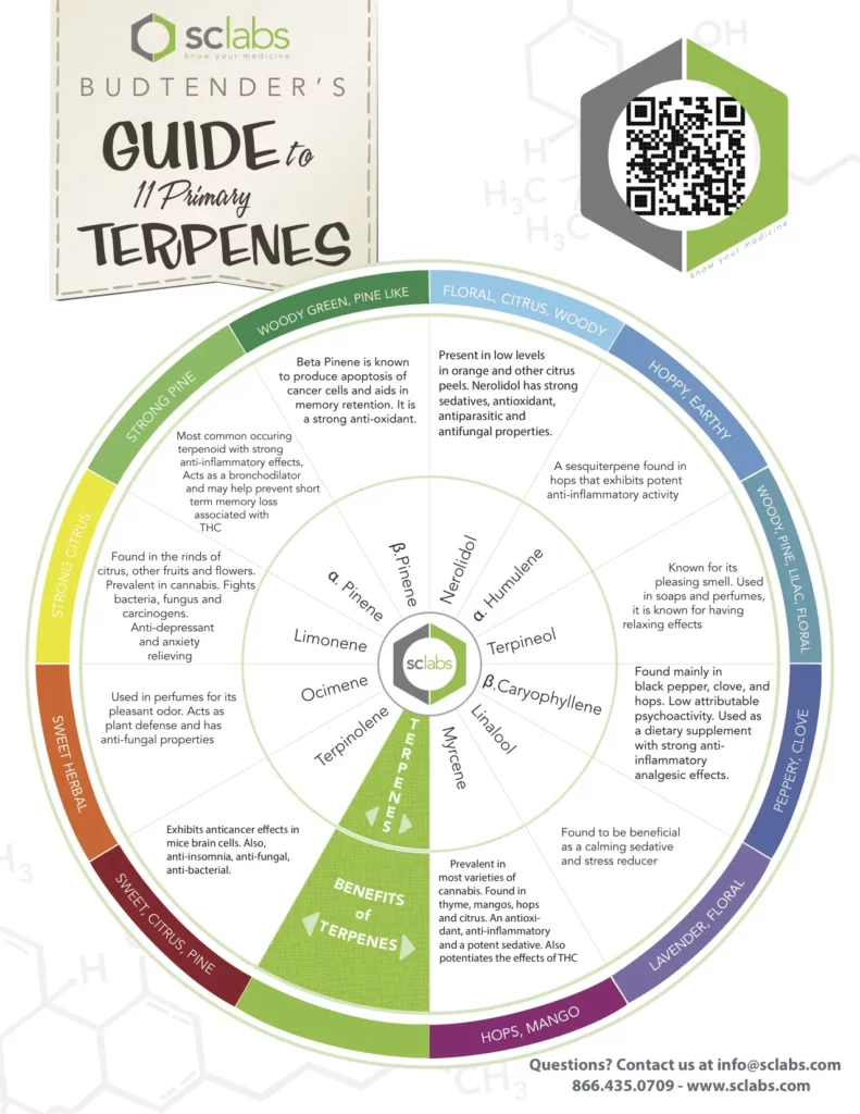 SC Labs terpene wheel infographic