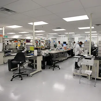 Cannabis lab interior