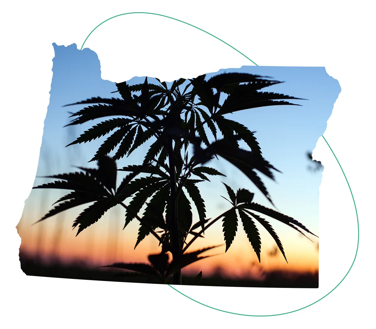 Oregon Cannabis Compliance Testing SC Labs