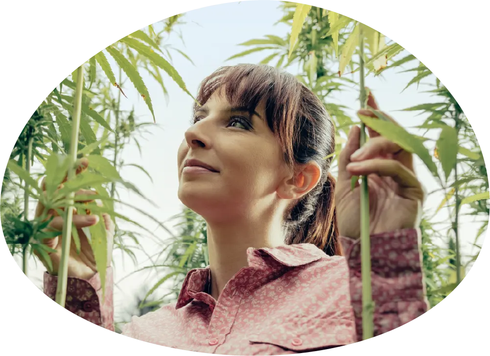 Optimistic woman in a cannabis field